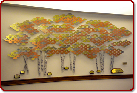 The Birch Tree of Life
